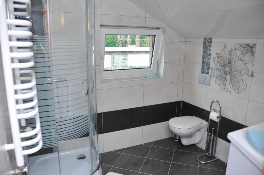 Willa Stenia Center Apartamenty Wisła Kültér fotó